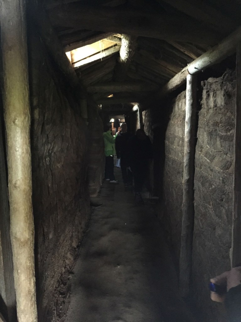 Antoine.faivre_Wordpresse_Island2015_FermeIslandaiseTraditionnel-7