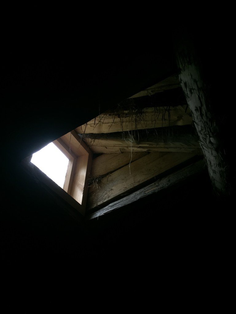 Antoine.faivre_Wordpresse_Island2015_FermeIslandaiseTraditionnel-8