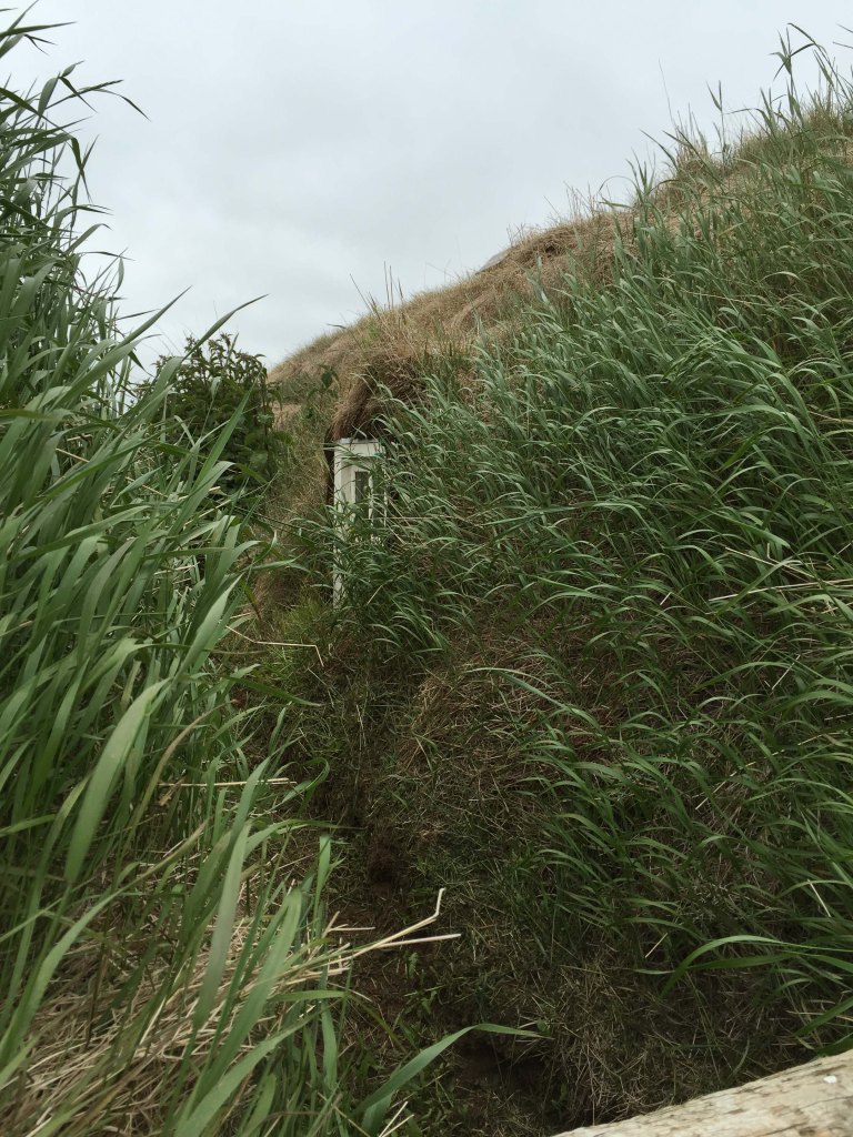 Antoine.faivre_Wordpresse_Island2015_FermeIslandaiseTraditionnel