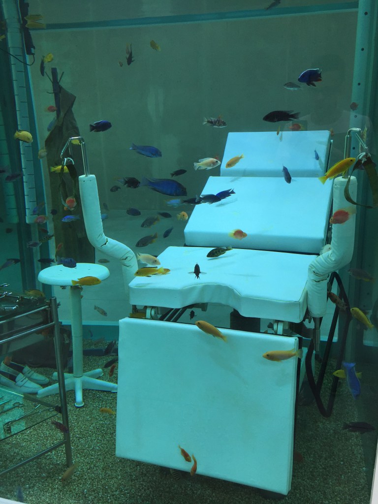 Antoine.faivre_Wordpresse_Milan2015_FondationPrada-28